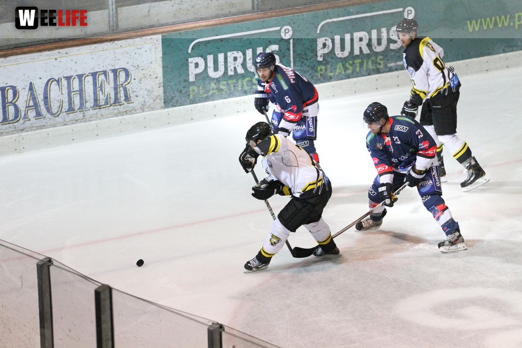 Selber Wölfe - EHC Bayreuth