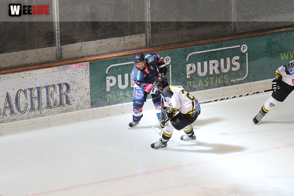 Selber Wölfe - EHC Bayreuth