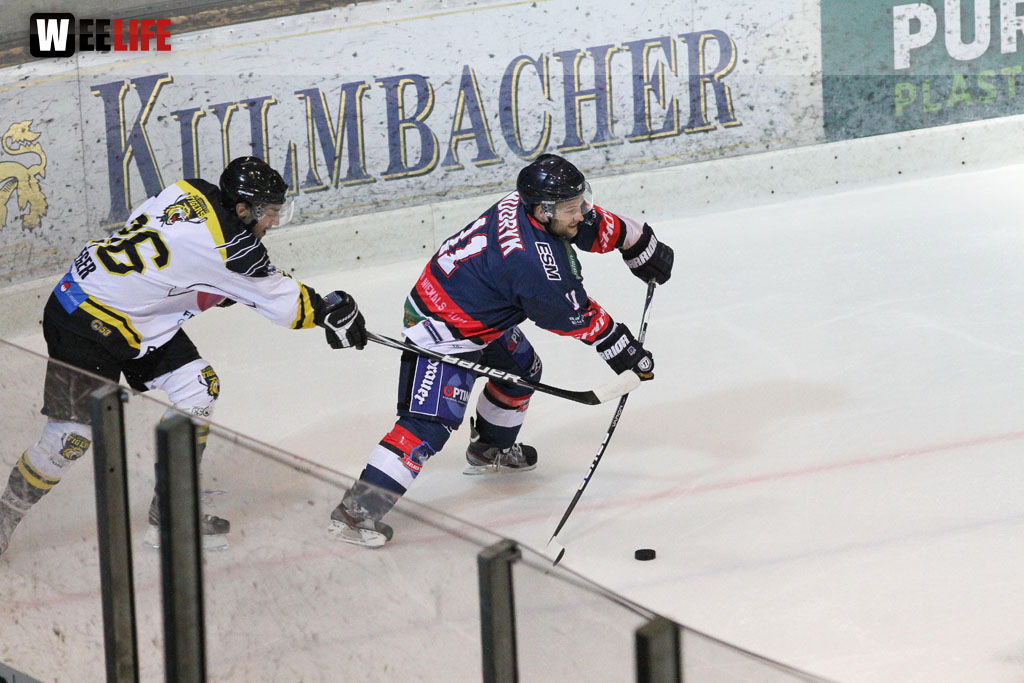 Selber Wölfe - EHC Bayreuth