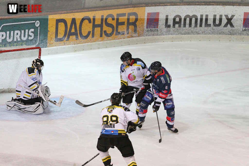 Selber Wölfe - EHC Bayreuth