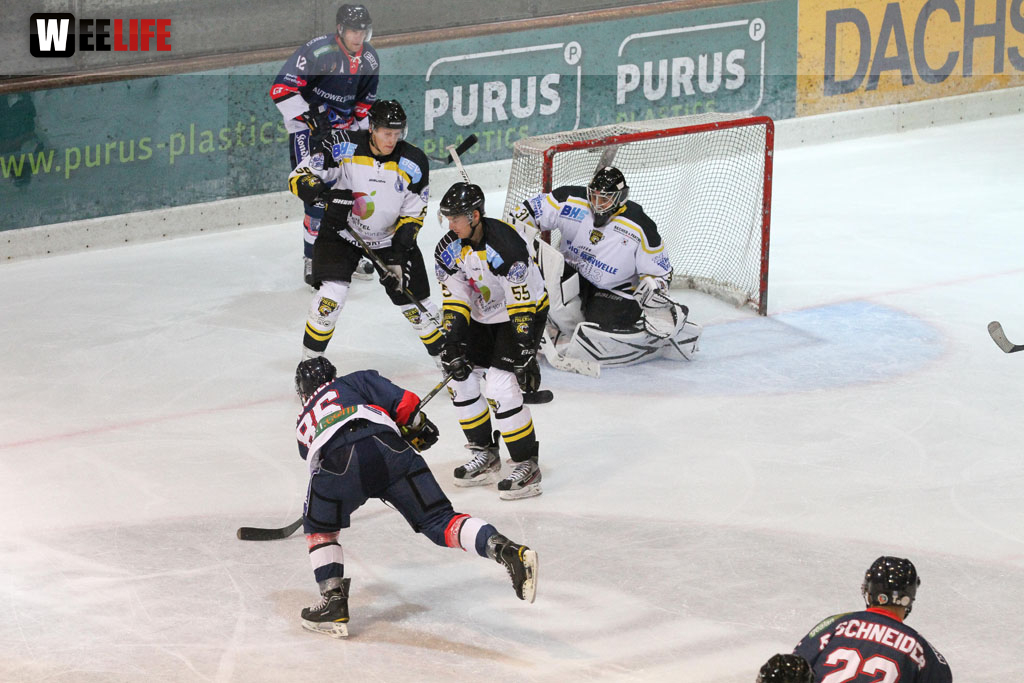 Selber Wölfe - EHC Bayreuth