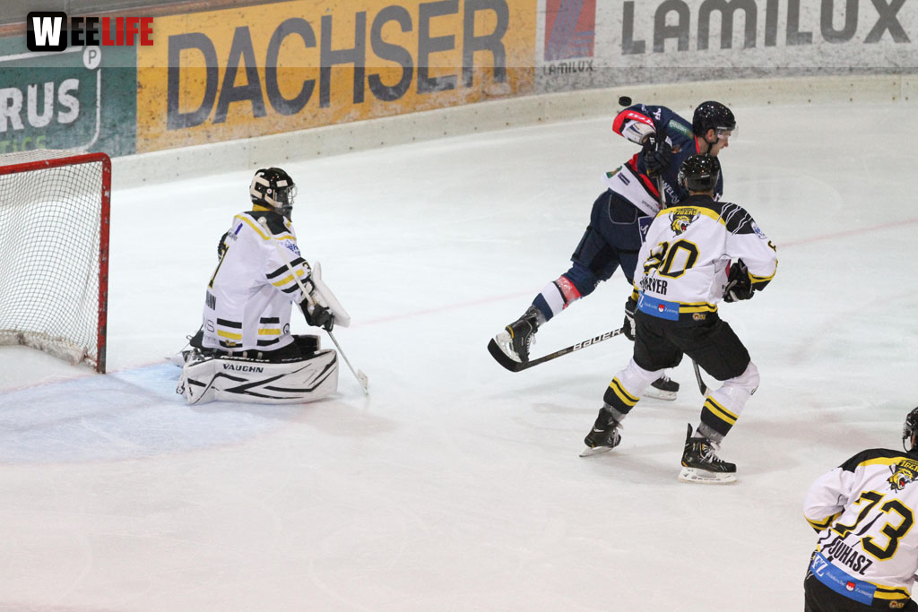 Selber Wölfe - EHC Bayreuth
