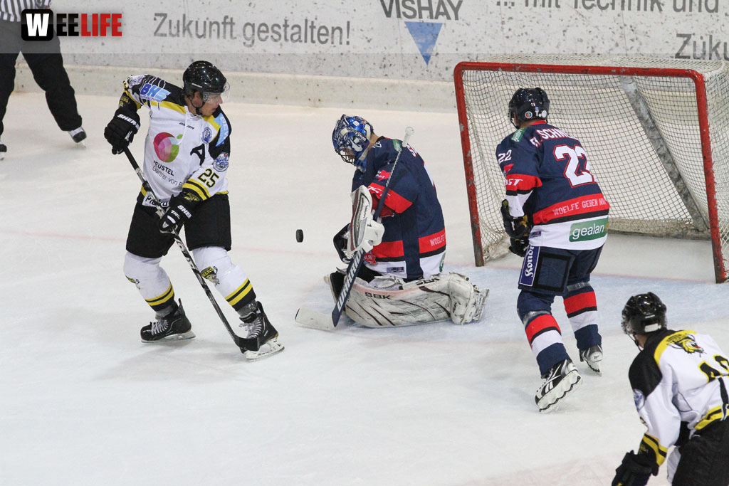 Selber Wölfe - EHC Bayreuth