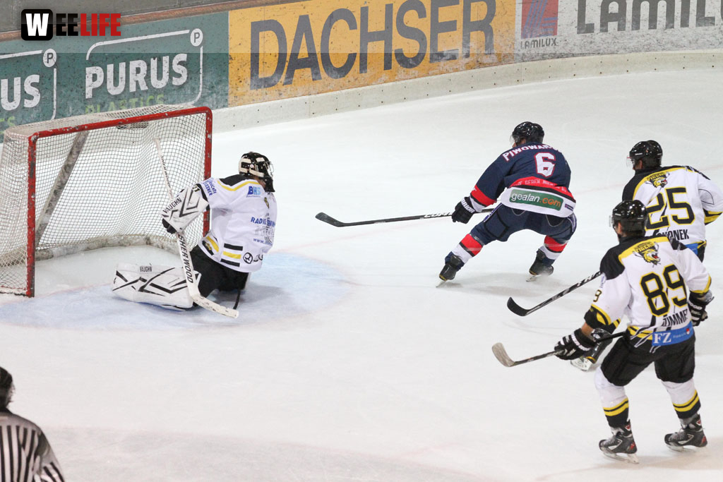 Selber Wölfe - EHC Bayreuth