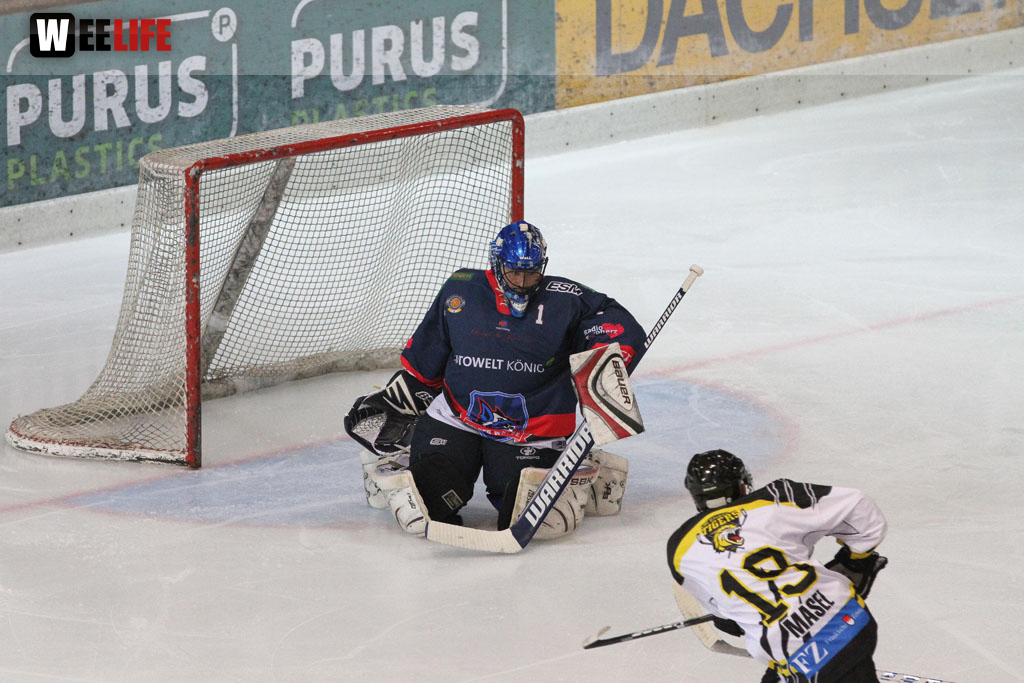 Selber Wölfe - EHC Bayreuth