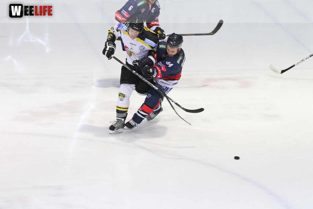 Selber Wölfe - EHC Bayreuth