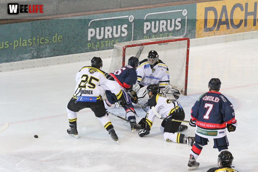 Selber Wölfe - EHC Bayreuth