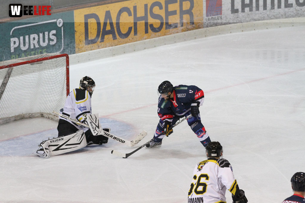Selber Wölfe - EHC Bayreuth