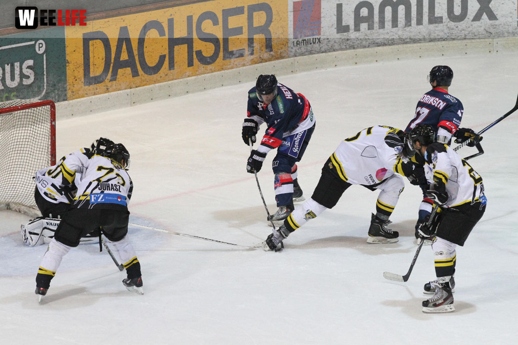 Selber Wölfe - EHC Bayreuth