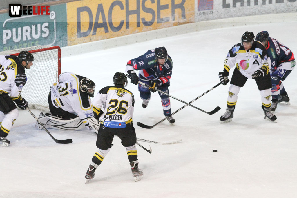 Selber Wölfe - EHC Bayreuth