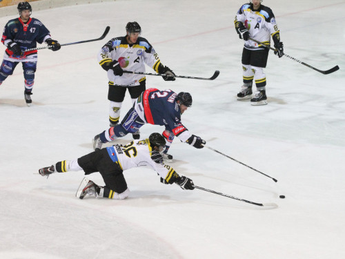 Selber Wölfe - EHC Bayreuth – Foto 212