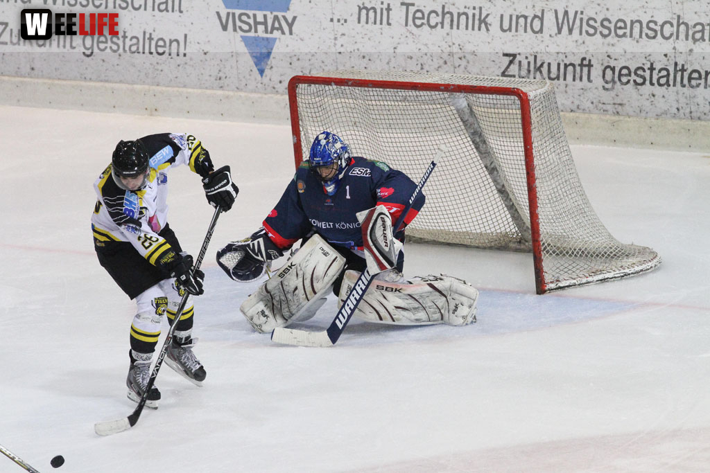 Selber Wölfe - EHC Bayreuth