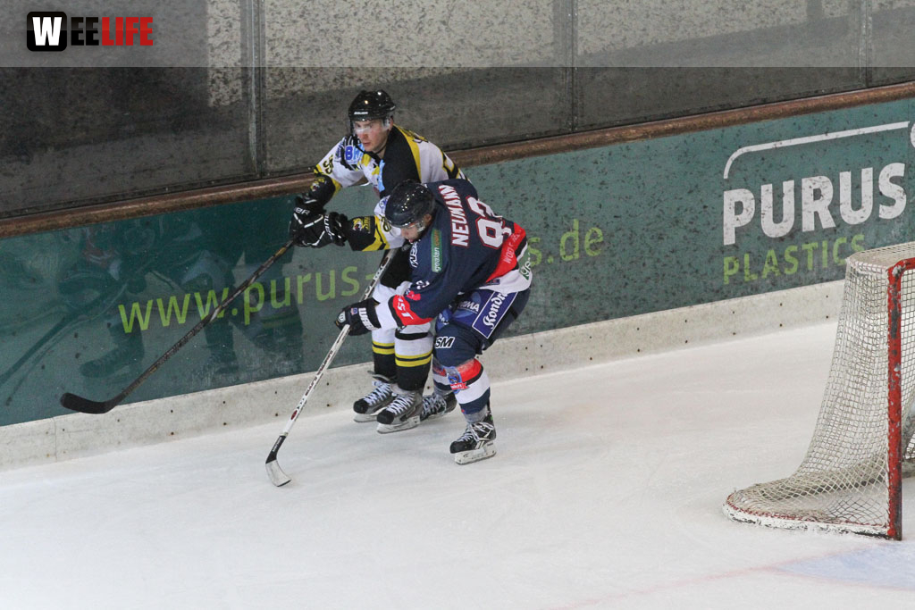 Selber Wölfe - EHC Bayreuth