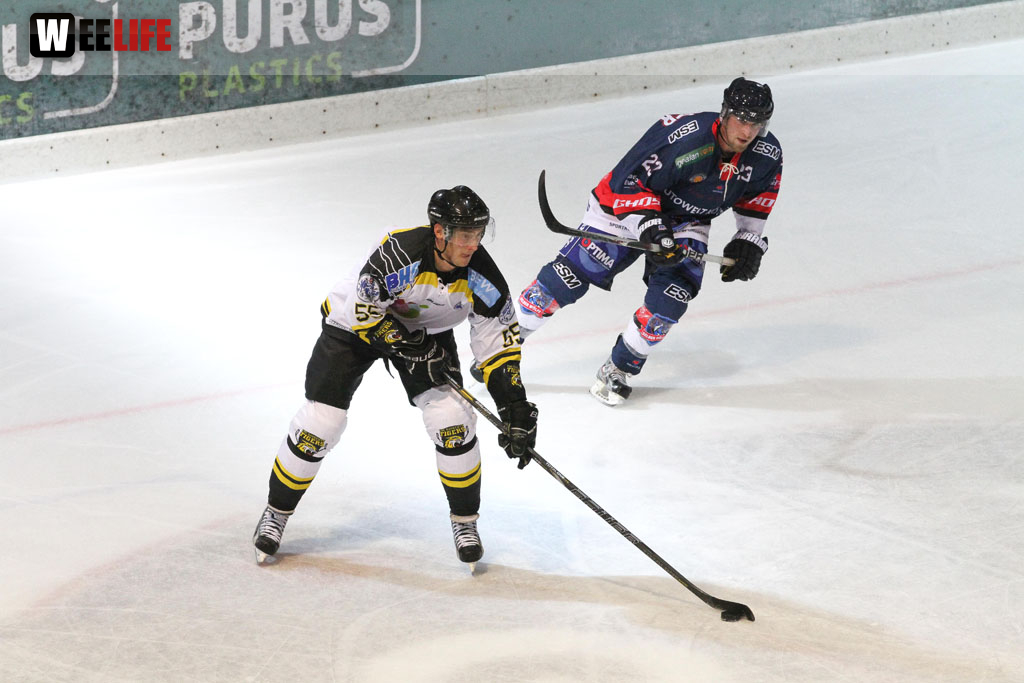 Selber Wölfe - EHC Bayreuth