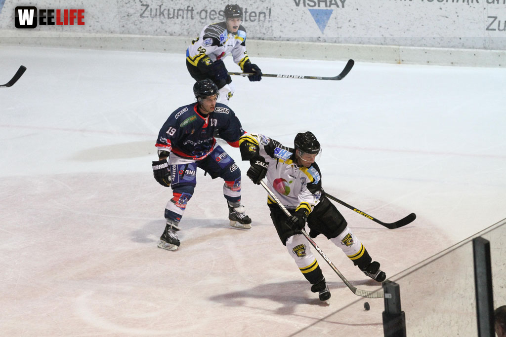 Selber Wölfe - EHC Bayreuth