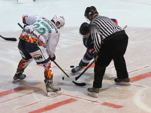 Selber Wölfe - Bietigheim Steelers – Foto 2
