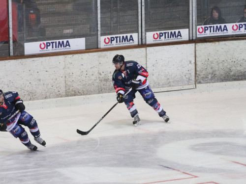Selber Wölfe - Bietigheim Steelers – Foto 4
