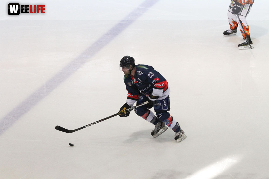 Selber Wölfe - Bietigheim Steelers