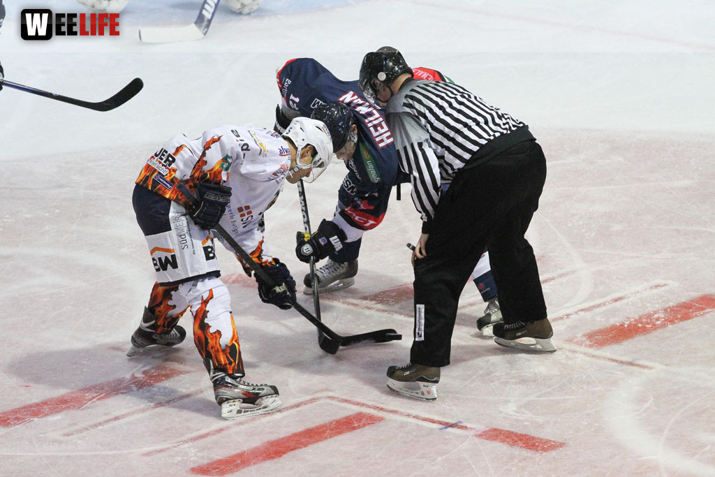 Selber Wölfe - Bietigheim Steelers