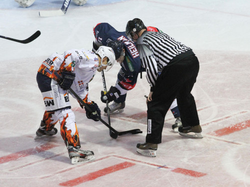 Selber Wölfe - Bietigheim Steelers – Foto 8