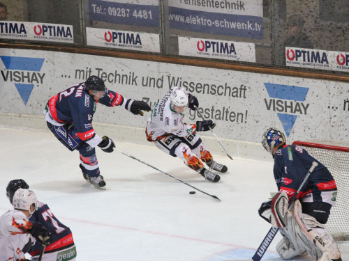 Selber Wölfe - Bietigheim Steelers – Foto 11