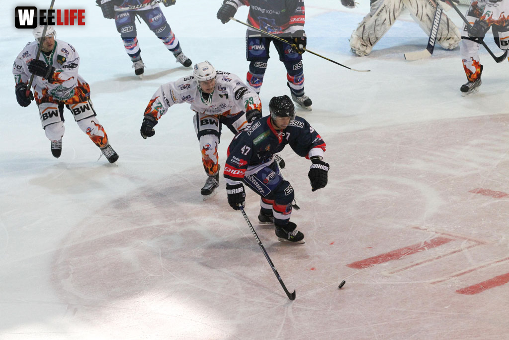 Selber Wölfe - Bietigheim Steelers