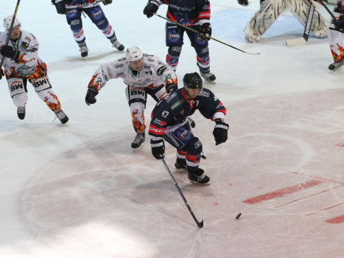 Selber Wölfe - Bietigheim Steelers – Foto 12