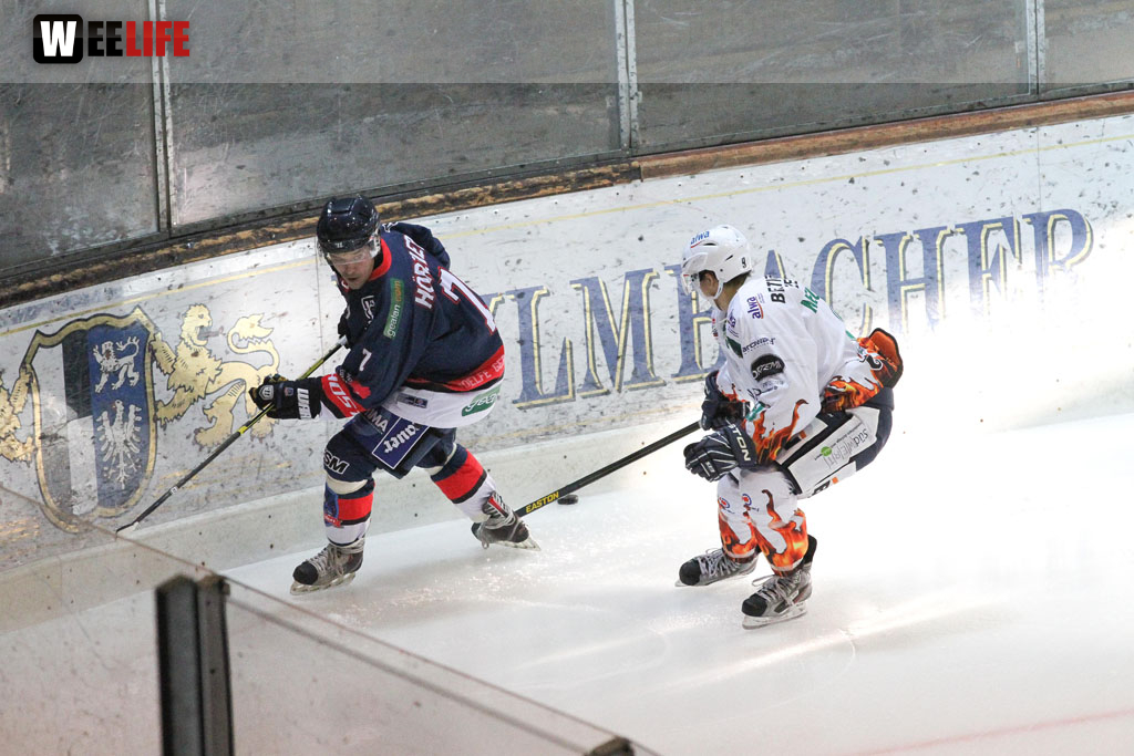 Selber Wölfe - Bietigheim Steelers