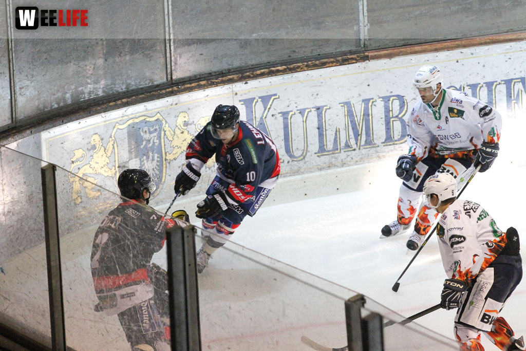 Selber Wölfe - Bietigheim Steelers