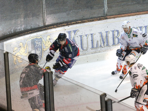 Selber Wölfe - Bietigheim Steelers – Foto 14