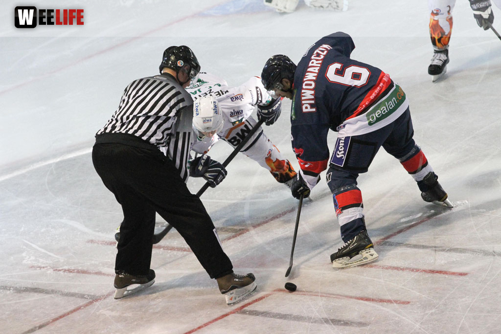 Selber Wölfe - Bietigheim Steelers