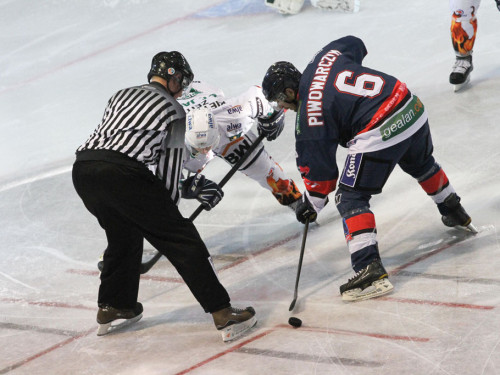 Selber Wölfe - Bietigheim Steelers – Foto 15