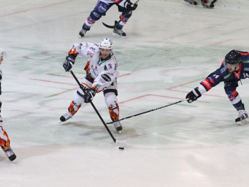 Selber Wölfe - Bietigheim Steelers – Foto 17