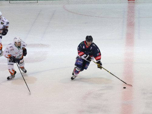 Selber Wölfe - Bietigheim Steelers – Foto 20