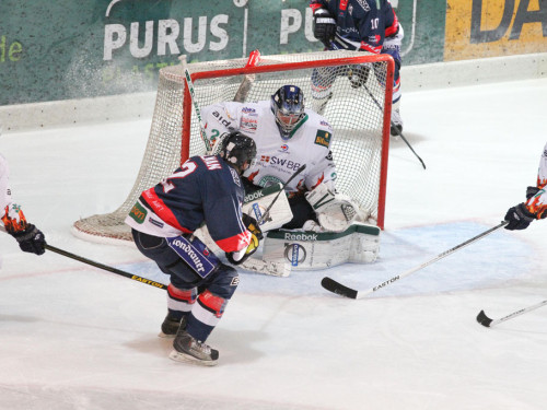 Selber Wölfe - Bietigheim Steelers – Foto 21