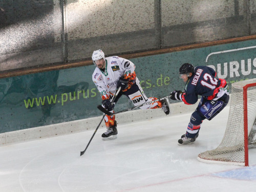Selber Wölfe - Bietigheim Steelers – Foto 22