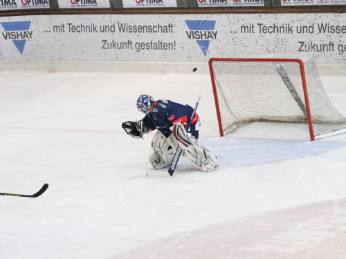 Selber Wölfe - Bietigheim Steelers – Foto 24