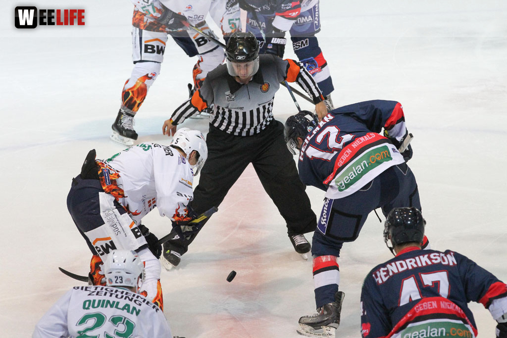 Selber Wölfe - Bietigheim Steelers