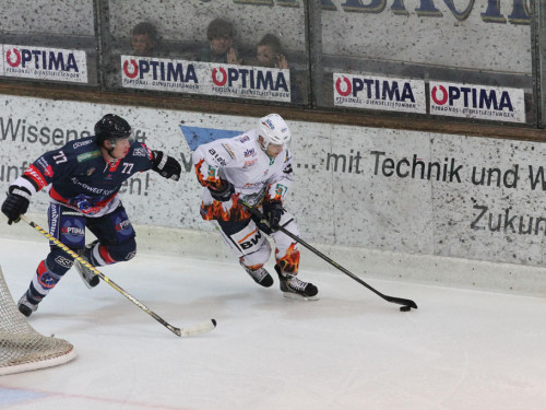 Selber Wölfe - Bietigheim Steelers – Foto 27