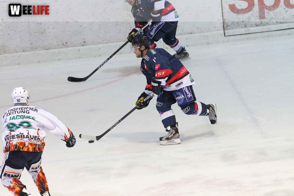 Selber Wölfe - Bietigheim Steelers
