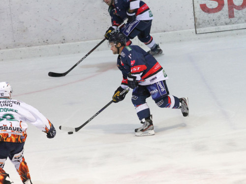 Selber Wölfe - Bietigheim Steelers – Foto 32