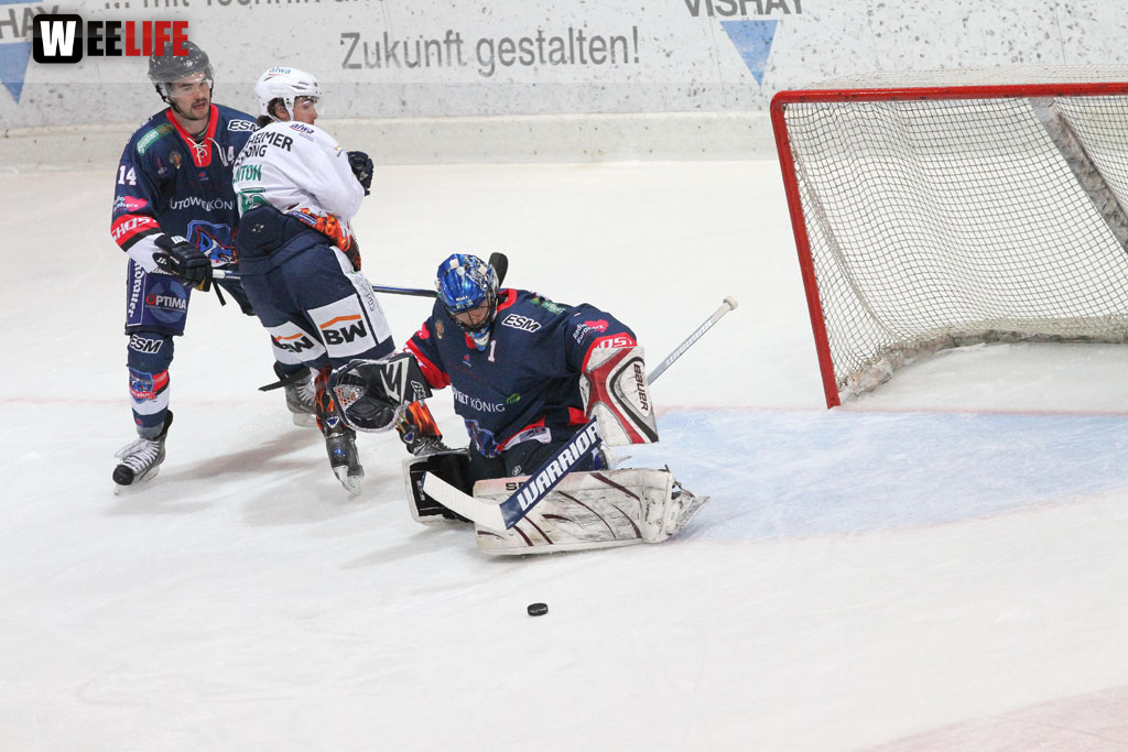 Selber Wölfe - Bietigheim Steelers