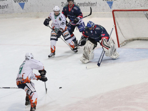 Selber Wölfe - Bietigheim Steelers – Foto 34