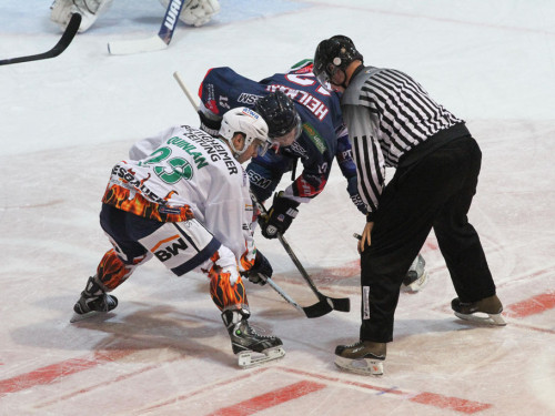 Selber Wölfe - Bietigheim Steelers – Foto 37