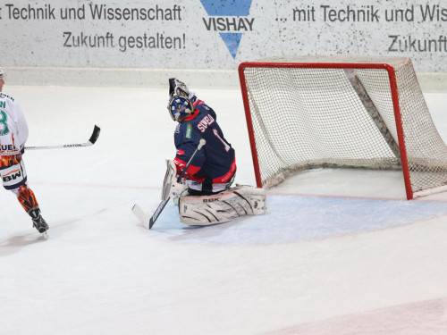 Selber Wölfe - Bietigheim Steelers – Foto 38