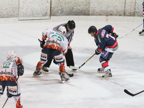 Selber Wölfe - Bietigheim Steelers – Foto 39