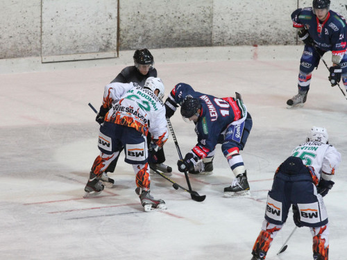Selber Wölfe - Bietigheim Steelers – Foto 40