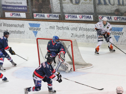Selber Wölfe - Bietigheim Steelers – Foto 41