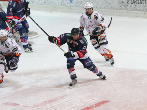 Selber Wölfe - Bietigheim Steelers – Foto 43