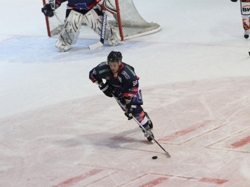 Selber Wölfe - Bietigheim Steelers – Foto 45